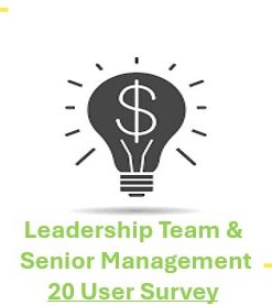 20 User, multi-level, Innovation Leadership Performance Assessment with Recommendations Report